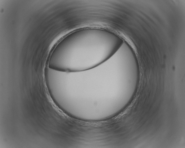 X0000083650944200703121742