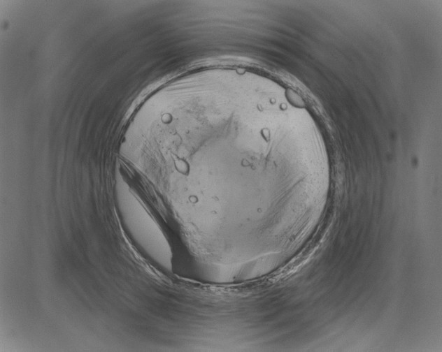 X0000083650945200703121742