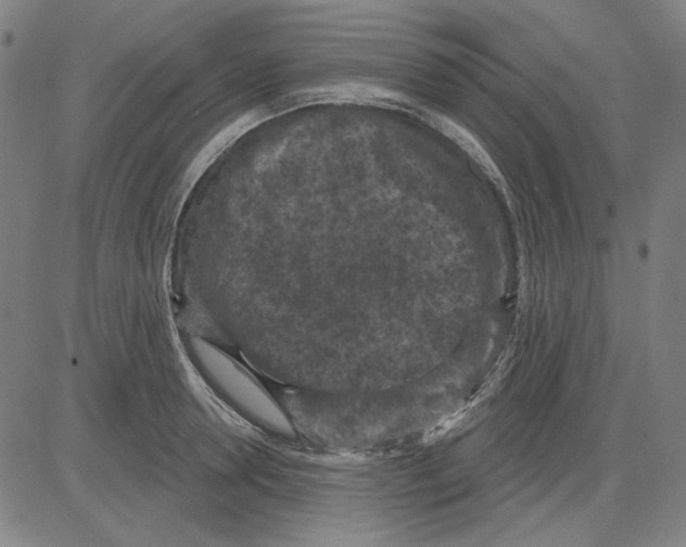 X0000083650946200703121742