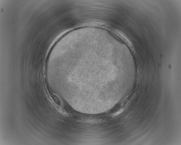 X0000083650948200703121742