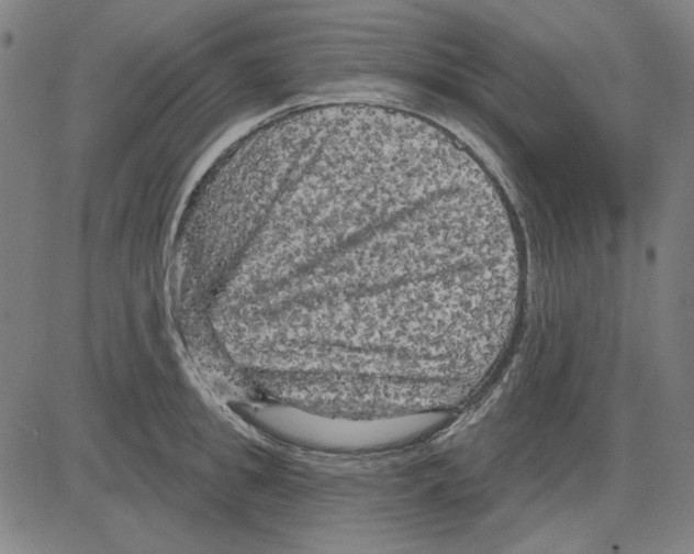 X0000083650949200703121742