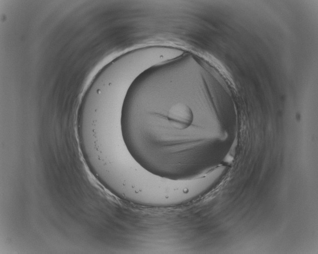 X0000083650950200703121742