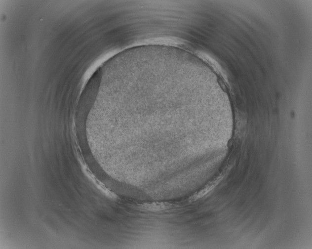 X0000083650952200703121742