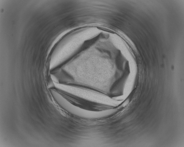 X0000083650956200703121742