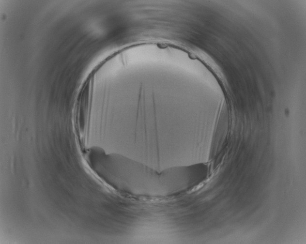 X0000083650958200703121742