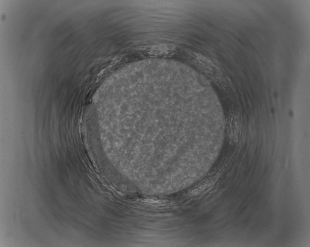 X0000083650962200703121741