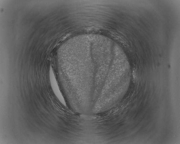 X0000083650963200703121741