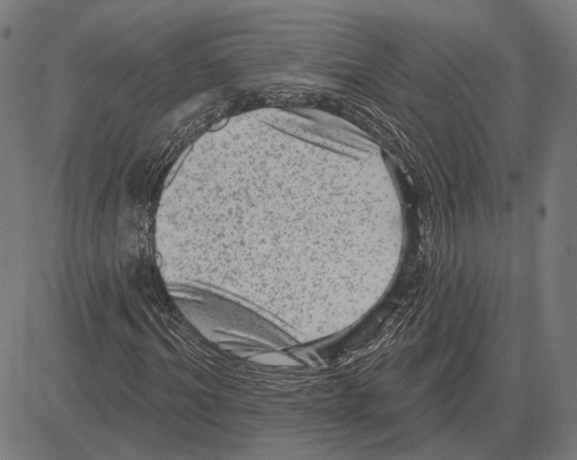 X0000083650964200703121741