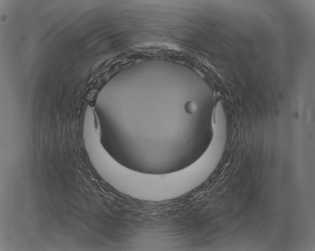 X0000083650965200703121741