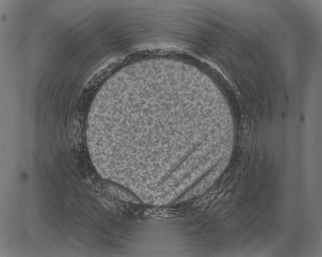 X0000083650967200703121741