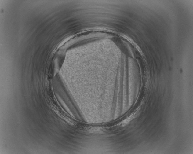 X0000083650969200703121741