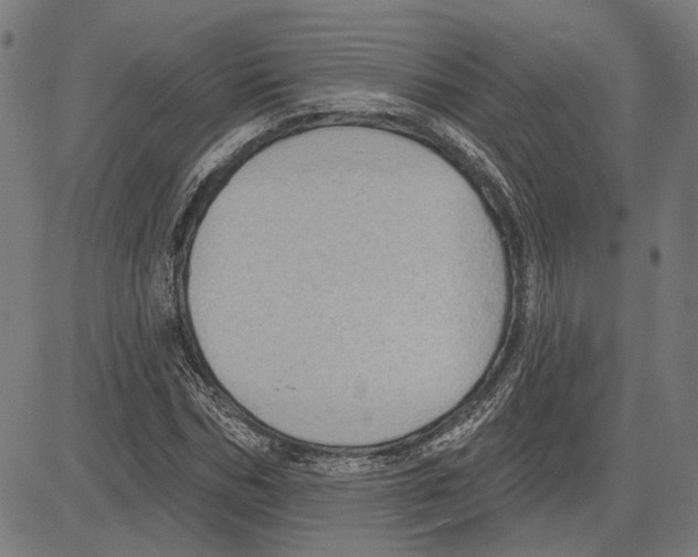 X0000083650970200703121741