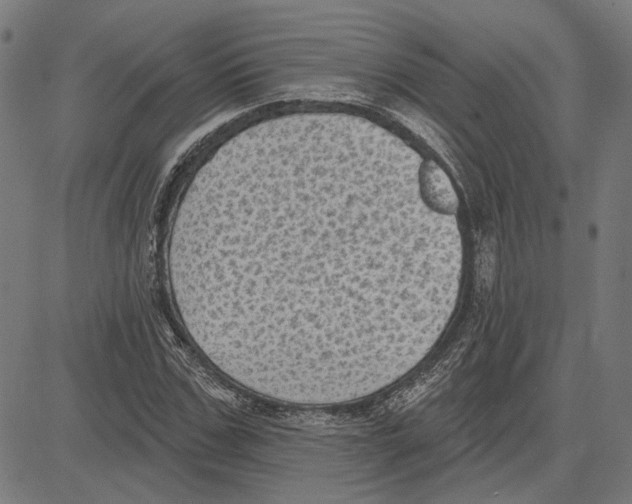 X0000083650971200703121741