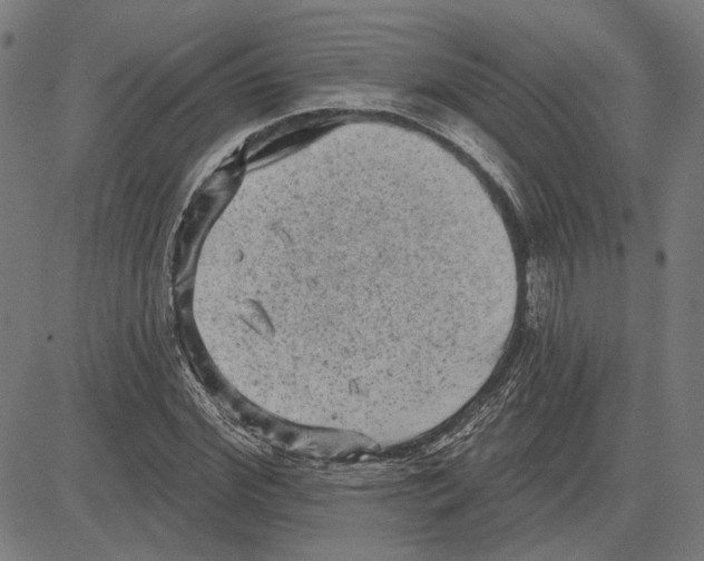 X0000083650972200703121741