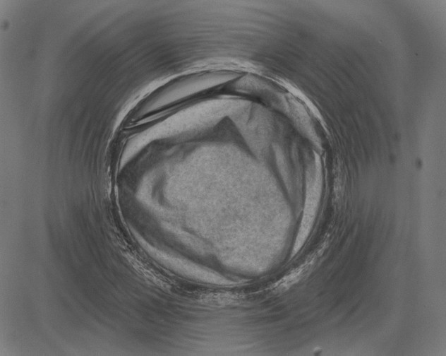 X0000083650973200703121741