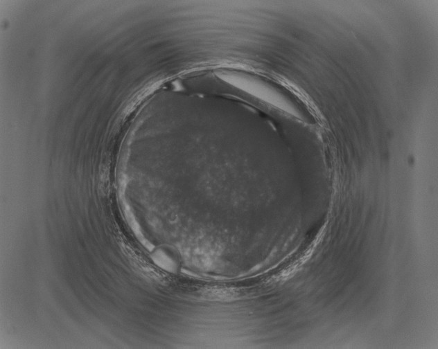 X0000083650977200703121741