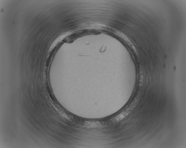 X0000083650978200703121741