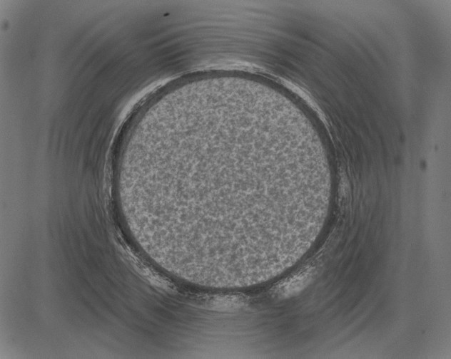 X0000083650979200703121741