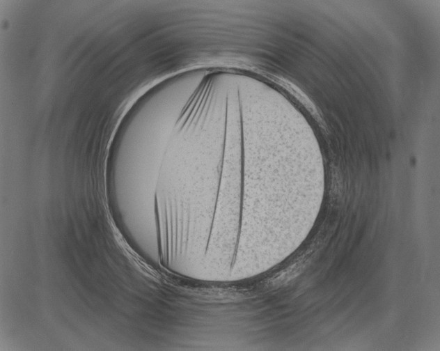 X0000083650980200703121741