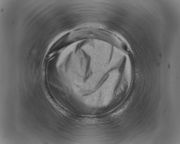 X0000083650981200703121741