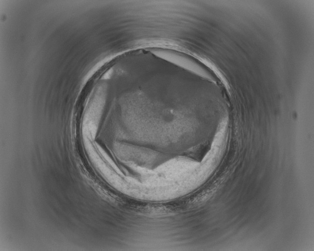 X0000083650983200703121741