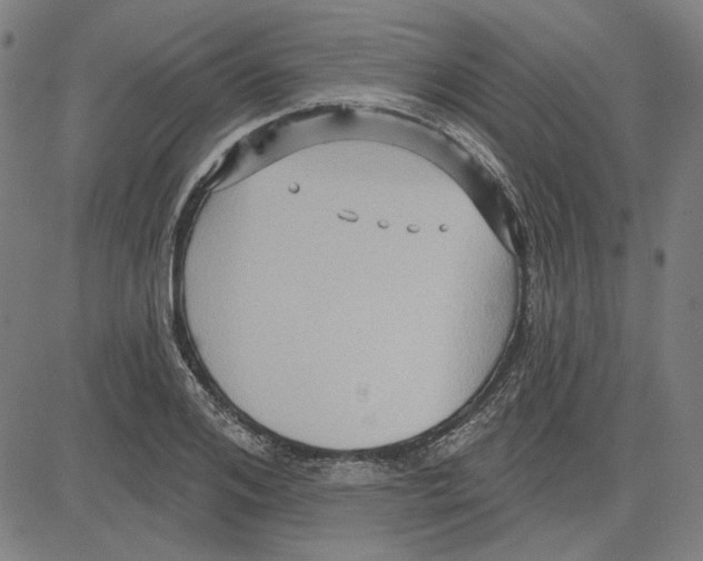 X0000083650984200703121741