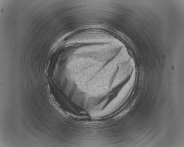 X0000083650985200703121741