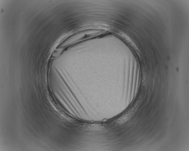 X0000083650986200703121741