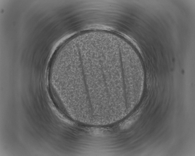 X0000083650987200703121741