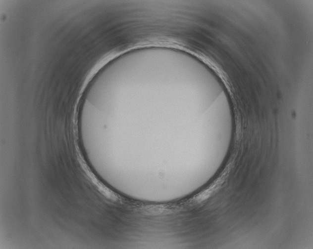 X0000083650990200703121741