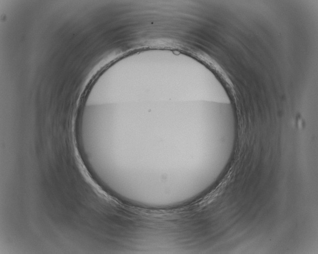 X0000083650991200703121741