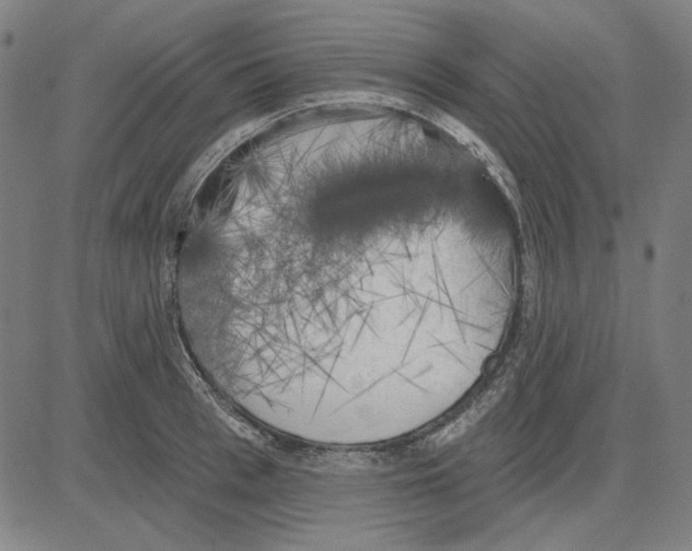 X0000083650993200703121741