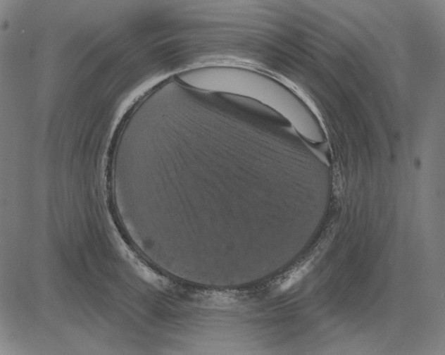 X0000083650995200703121741