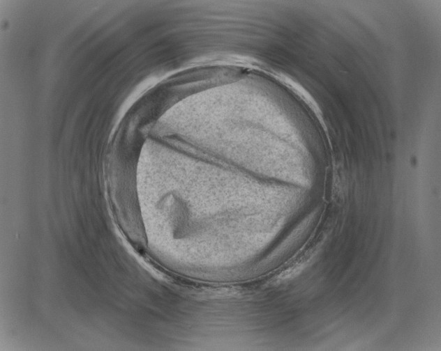 X0000083650997200703121741