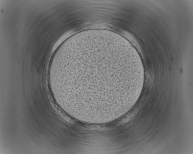 X0000083651002200703121740