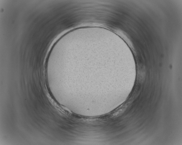 X0000083651004200703121740