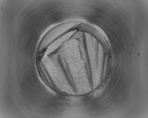 X0000083651005200703121740