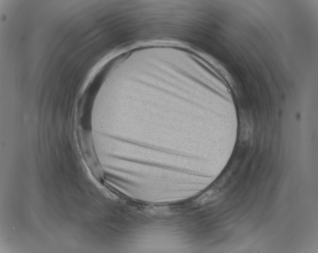 X0000083651006200703121740