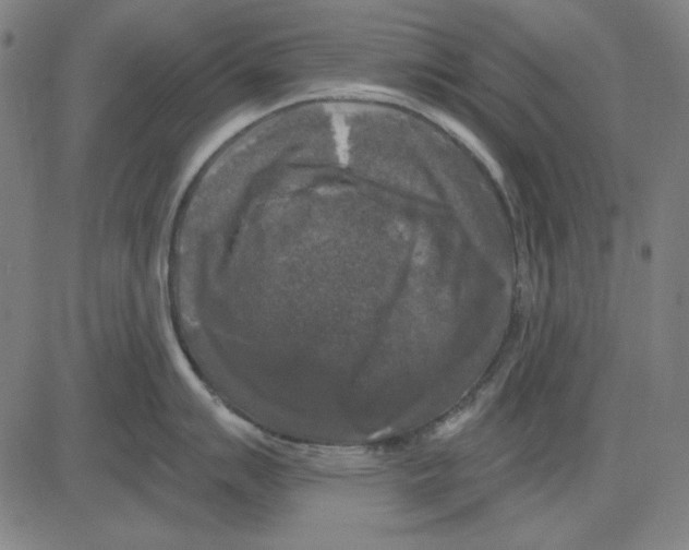 X0000083651007200703121740