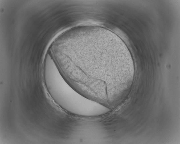 X0000083651008200703121740