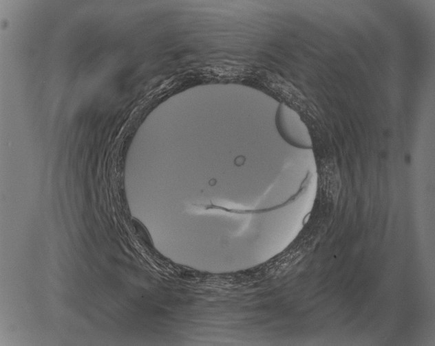 X0000083651009200703121740