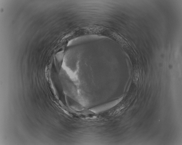 X0000083651010200703121740