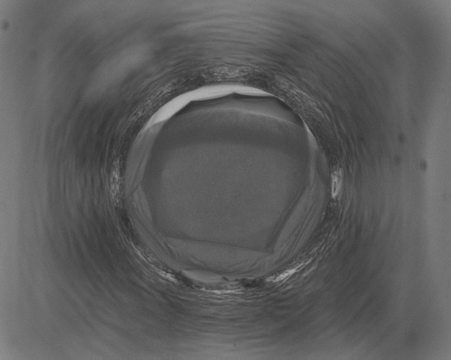 X0000083651011200703121740