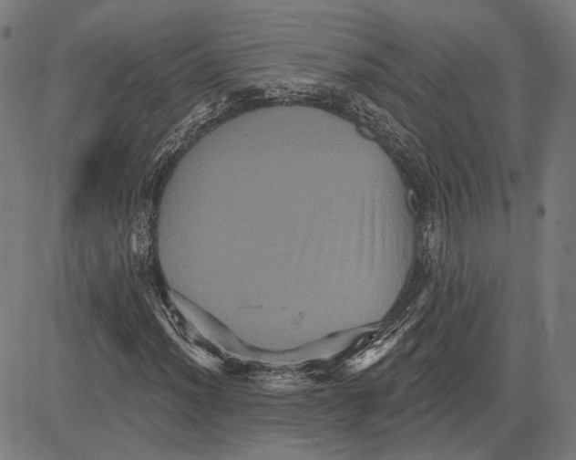 X0000083651012200703121740