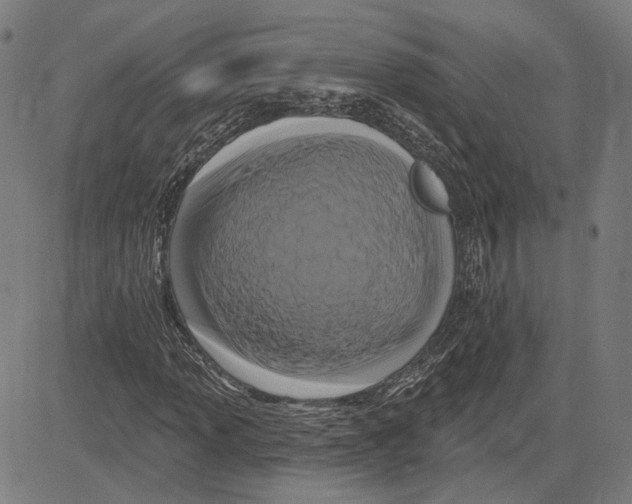 X0000083651013200703121740