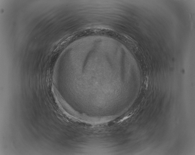 X0000083651014200703121740