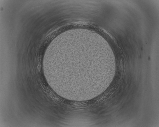 X0000083651015200703121740