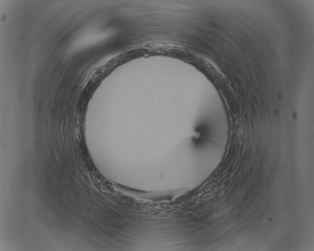 X0000083651016200703121740