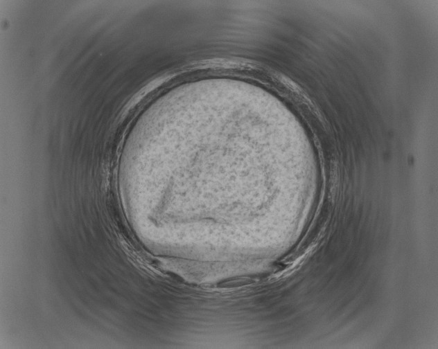 X0000083651017200703121740