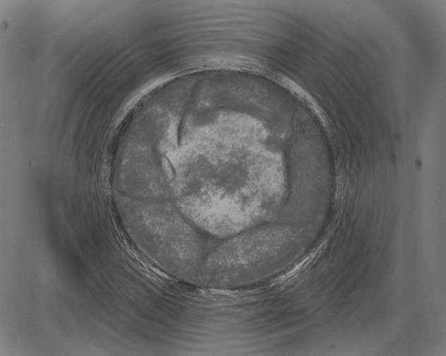 X0000083651019200703121740